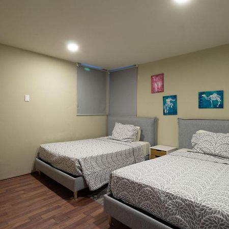 Polanco Apartment - Elevator Parking- Sleeps 10 Meksika Dış mekan fotoğraf